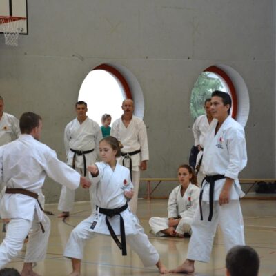 Karate-Do